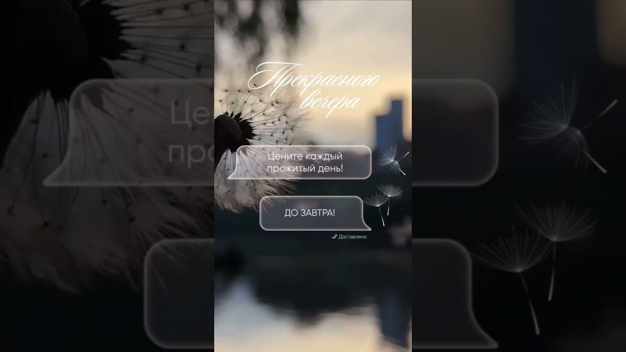 Прекрасного вечера. Цените каждый прожитый день. До завтра! #прекрасноговечера #дозавтра #ценитедень