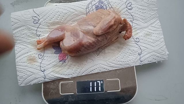 Сравнение тушек перепелов разных пород