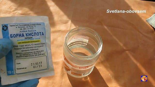 ЧЕМ ЛУЧШЕ ПОДКОРМИТЬ МОРКОВЬ СВЕКЛУ ДЛЯ РОСТА И СЛАДОСТИ НАРОДНЫМИ СРЕДСТВАМИ.УРОЖАЯ БУДЕТ МОРЕ