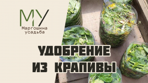 Готовим удобрение из крапивы и одуванчиков
