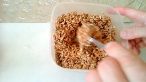 Как сделать козинаки из семечек. Очень просто, вкусно, полезно.