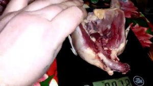 Забой Техасцев в 55дней!! Вес перепелов в 55дней