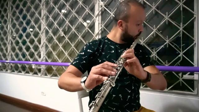 Sonata para flauta y piano - Gaetano Donizetti смотреть онлайн