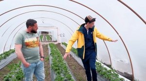 "Миш, не вывезешь!" - первый год на клубнике и 104 балагана