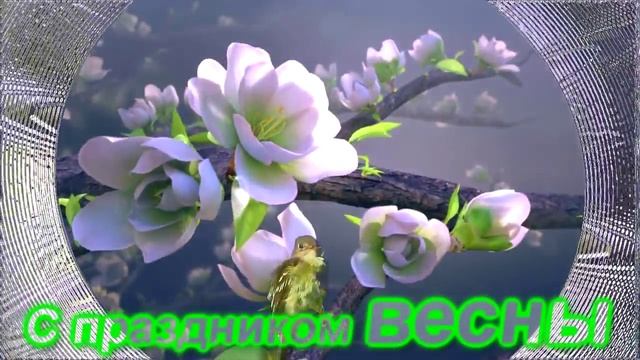 Футаж. С праздником весны смотреть онлайн