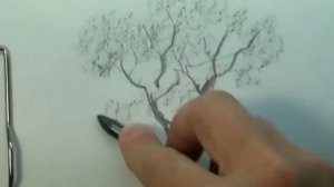 КАК научиться РИСОВАТЬ. Рисуем ДЕРЕВО карандашом #1