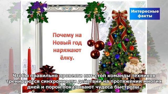 Почему на Новый год наряжают елку? | Интересные факты смотреть онлайн
