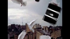 ПАХ АХПЮРИ МОТ