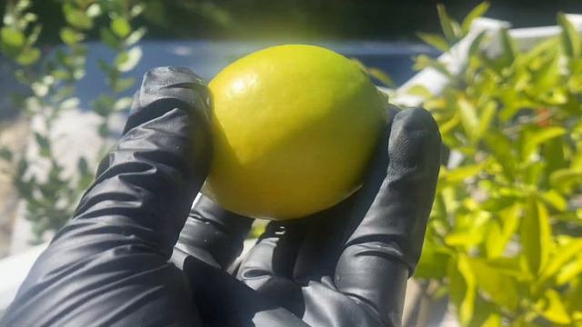 Не хотите пить таблетки? Пейте этот чай. смотреть онлайн