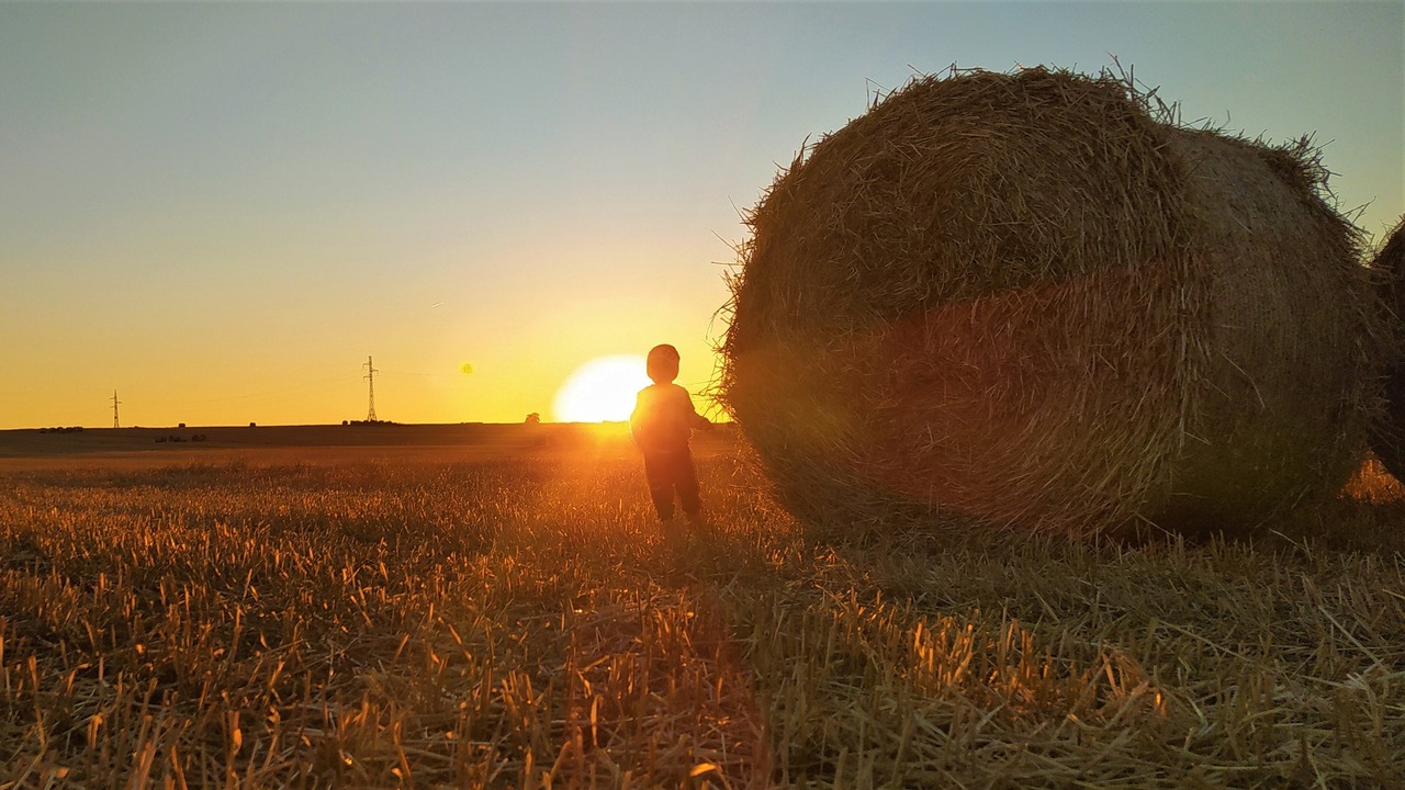 Родная земля