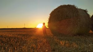 Родная земля