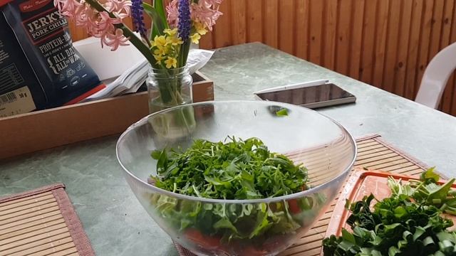 скумбрия-гриль на мангале.  лёгкий салат с черемшой. 15.05.2021.