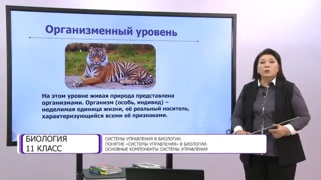 Биология. 11 класс. Понятие «системы управления» в биологии/16.11.2020/