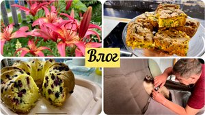 Дачные дары// 2 выпечки// Котики// Влог