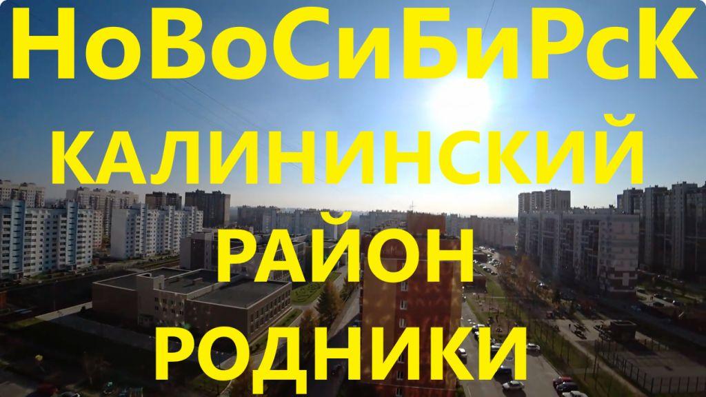 Учительская Родники Тюленина Объединения Курчатова Жуковского Дмитрия Донского Новосибирск Сибирь