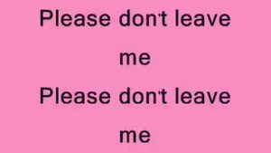 Pink - please don't leave me lyrics