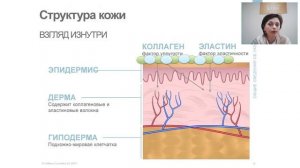 Академия красоты.  Почему кожа стареет? Можем ли мы повлиять на этот процесс?