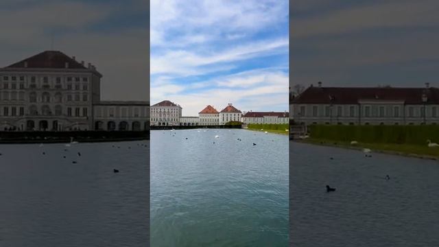 Swans near the Nymphenburg Palace in Munich / Лебеди возле Дворца Нимфенбург в Мюнхене ??