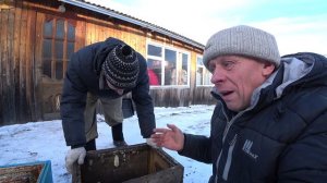 ПЕРВЫЕ ПОТЕРИ НА ПАСЕКЕ, НАШЛИ ПРИЧИНУ ГИБЕЛИ ПЧЁЛ.