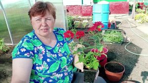 Жизнь в деревне.Хроника дня.