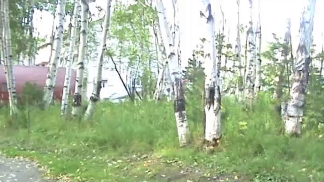 Выходные на Байкале смотреть онлайн