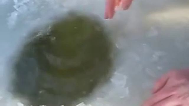 Не реальный улов ! Рыбаки поймали белугу !!! смотреть онлайн