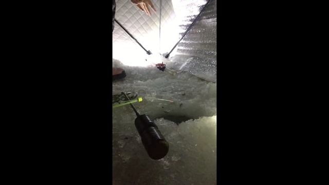 Рыбалка на озере Котокель, январь 2022 смотреть онлайн