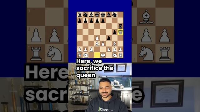 Fool’s Mate. Every Checkmate from A to Z. #fool #mate #chess смотреть онлайн