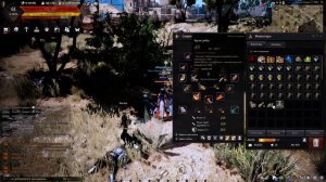 Black Desert - Фарм для новичков 25 кк в час