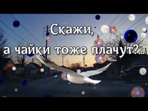 Скажи, а чайки тоже плачут? Стихотворение про любовь и предательство...