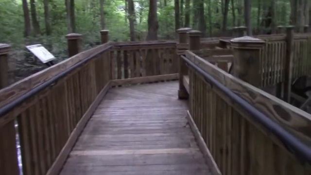 Dawn Patrol Part 2 смотреть онлайн