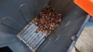 По шишкам. Измельчитель садовый электрический.