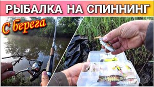 Рыбалка на спиннинг с берега//Какими приманками пользуюсь//Ловля щуки с берега летом//Влог с рыбалки