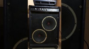 30ГД-301 динамик