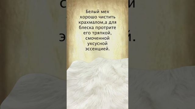 Как почистить белый мех