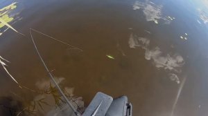 Топ 5 недорогих воблеров TsuYoki 2021. Воблеры на щуку и окуня которые ЛОВЯТ!Рыбалка на спиннинг