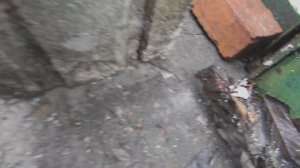 Газобетонный блок лежит 3 года под открытым небом ( что с ним стало)