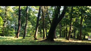 4k Резиденция и Дендропарк  Черновцы, Украина   Chernivtsi part 1  Walking Cities