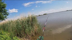 Baliq OVI RASSIYADA ( 06, 04, 2023 ) SAZANLAR Zeriktirmadi #рыбалка #baliqovi #сазан #recommended