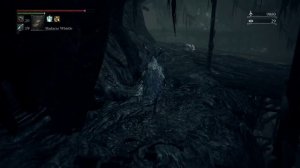 Bloodborne The Old Hunters DLC - Brador Set Location