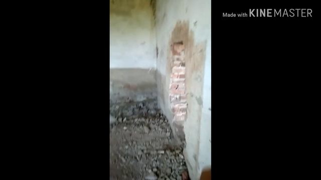 Ходим по заброшке. Убегаем от маньяка.