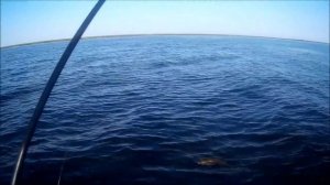 Рыбалка на Ладоге 3