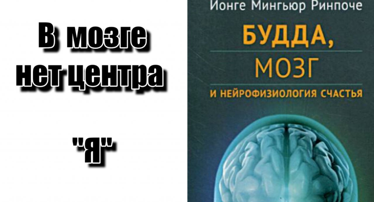 Мингьюр ринпоче мозг и нейрофизиология