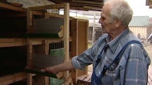 Золотухин Николай Иванович и клетки для кроликов