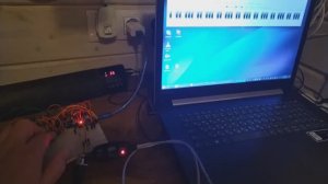 Первые музыкальные звуки