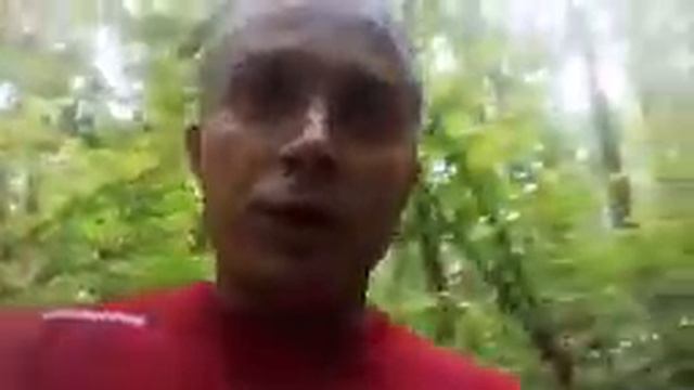КАК ПРАВИЛЬНО ПРИОБРЕСТИ ЗЕМЕЛЬНЫЙ УЧАСТОК  . Покупка земельного участка