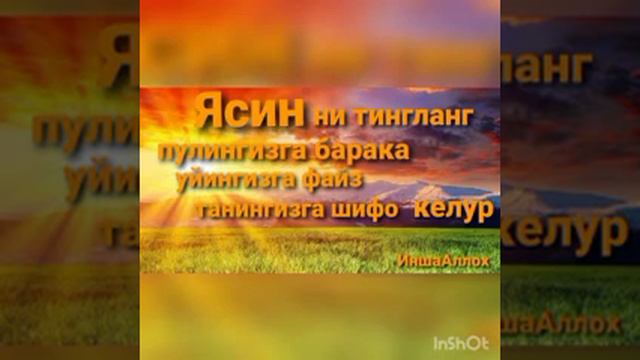 ЯСИН СУРАСИНИ ТИНГЛАНГ ВА ХАР ИШДА ОМАД КЕЛУР#сура #ясин #шифо #surahyaseen #surayasin смотреть онлайн