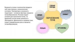 7 класс. СТРОЕНИЕ И СВОЙСТВА ПОЧВЫ