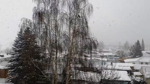 В моём городе вновь первый снег... смотреть онлайн