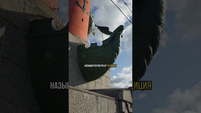 3 Удивительных Факта о Ростральных Колоннах #питер #история #васильевскийостров